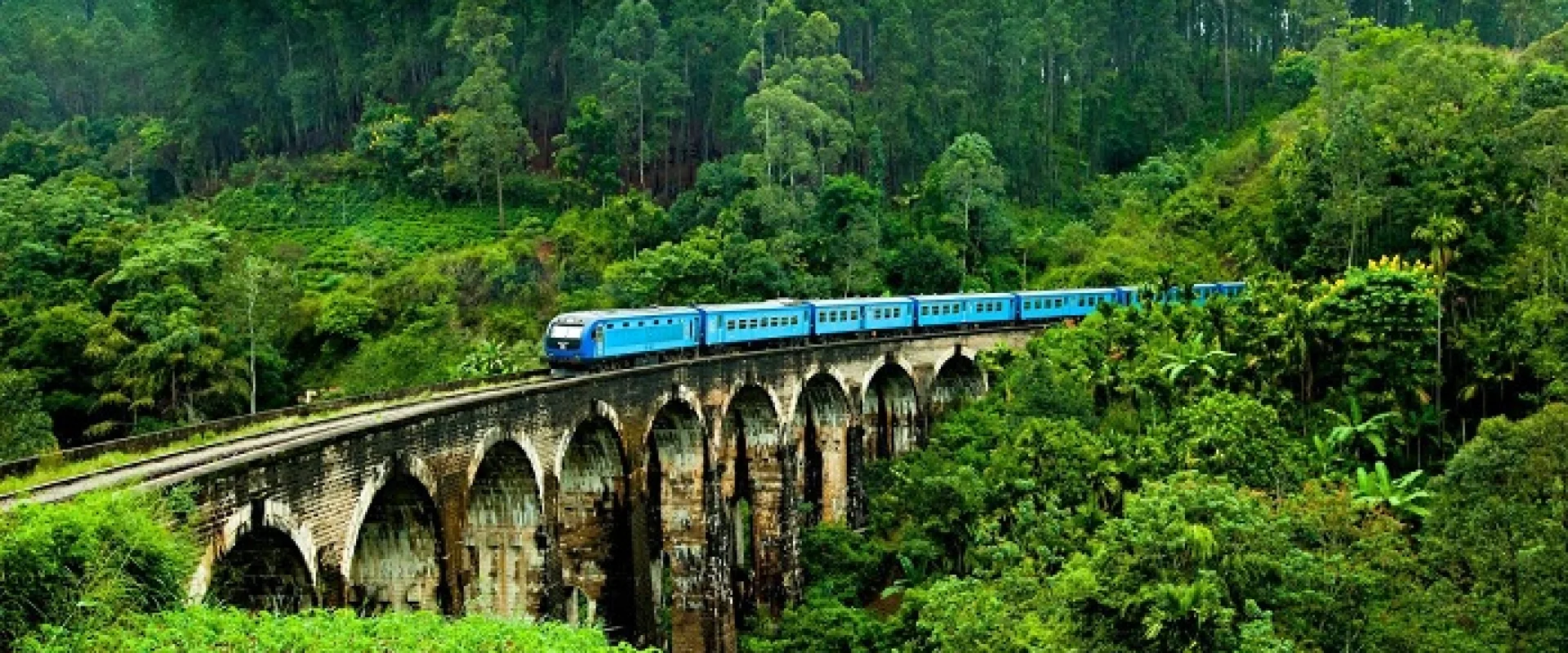Ride the Scenic Train to Ella