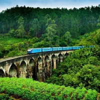 Ride the Scenic Train to Ella