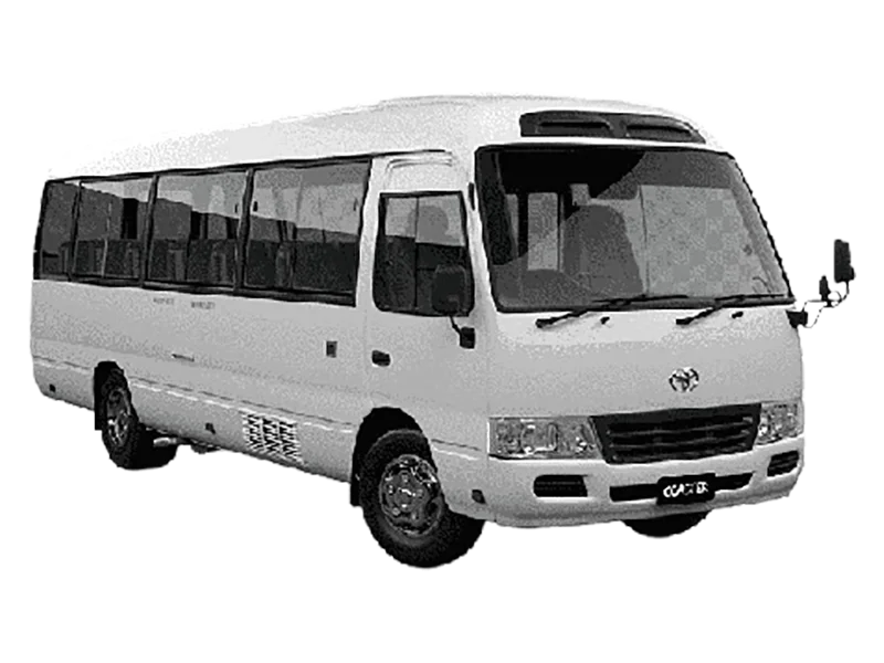 Mini Coach